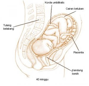tanda-tanda pecah ketuban, cara penanganan pertama terjadi pecah ketuban dini dan pertolongan pertama untuk pecah ketuban dini bagi ibu hamil, tips kehamilan