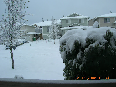 snow day