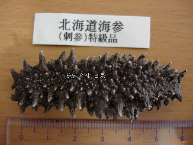 [1669178732.jpg]
