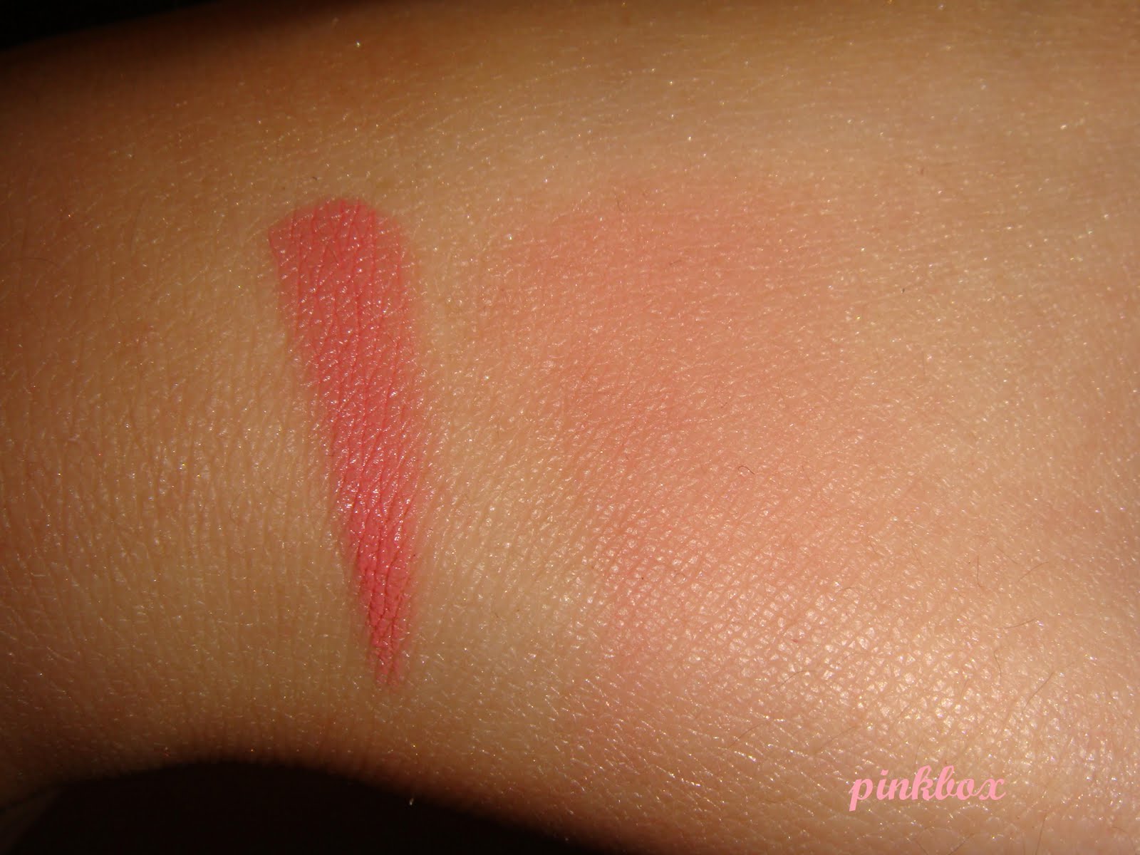 Nyx Spice Blush