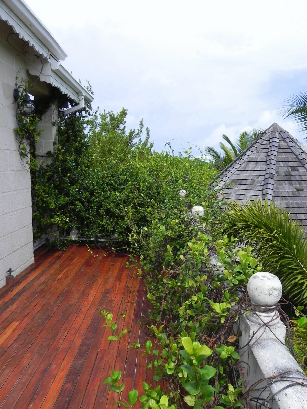 Fleur de Lys Before and After | Stacie Steensland