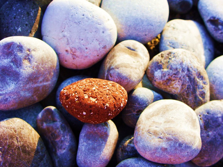 [Red_and_white_are_just_right_by_silence321.jpg]