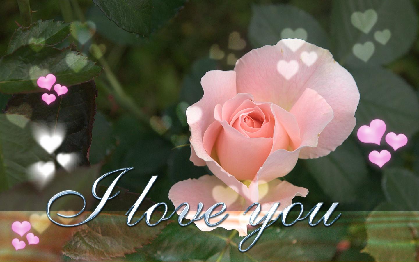 finding awesome love quotes finding awesome love quotes