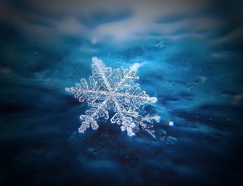  of these Christmas Snowflake Wallpapers For Desktop by simply clicking 