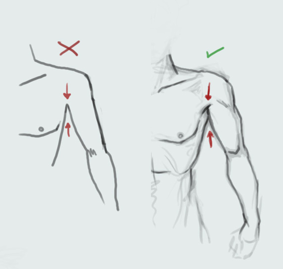 [drawing_basic_arm_shoulder.jpg]