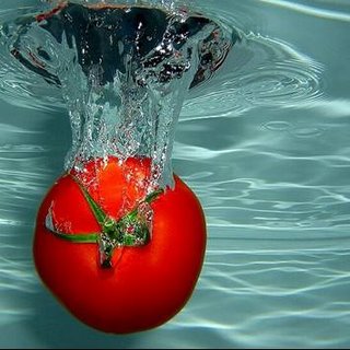 [tomate.jpg]