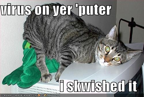 [funny-pictures-virus-cat.jpg]