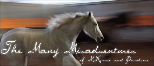 The Many Misadventures