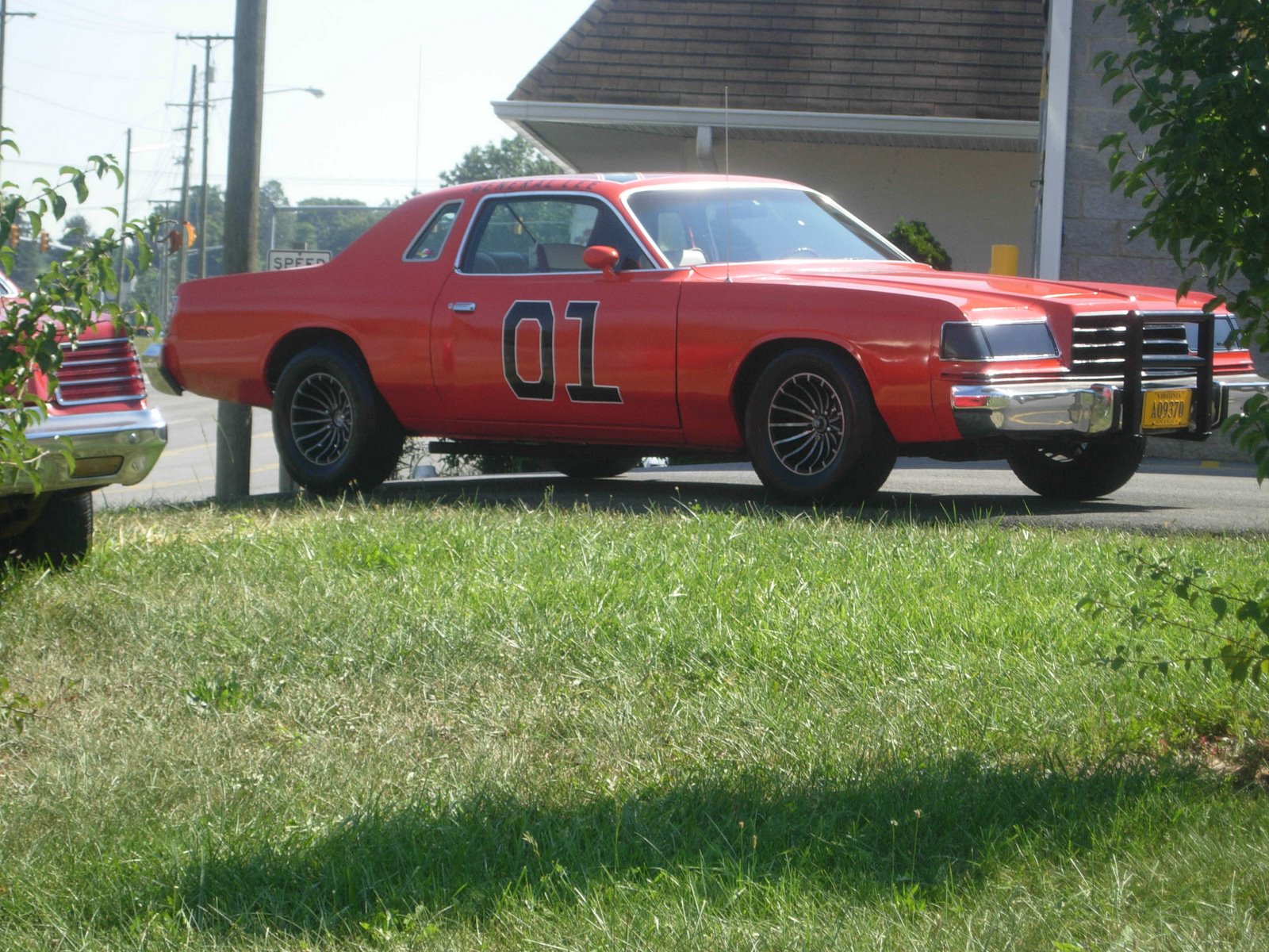 [DSCN3177.JPG]