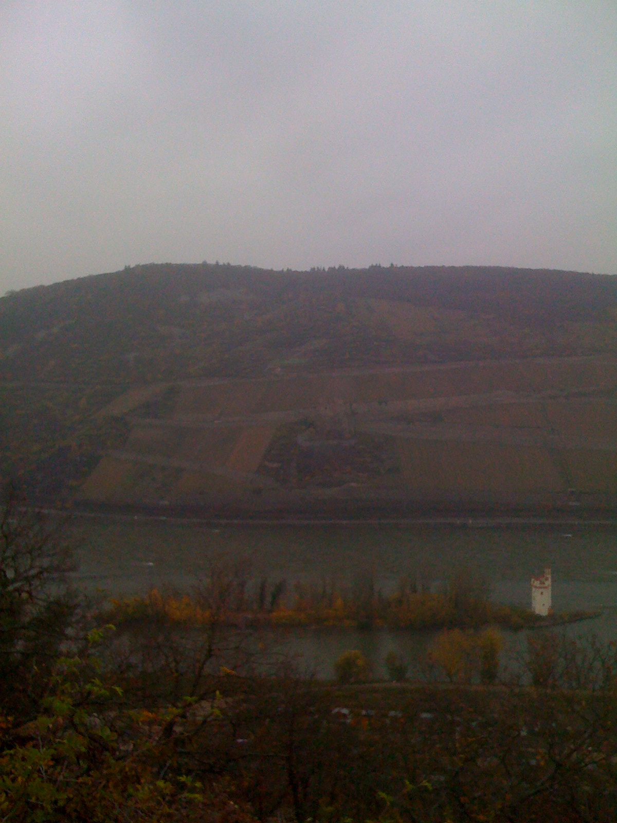 [IMG_0117.JPG]