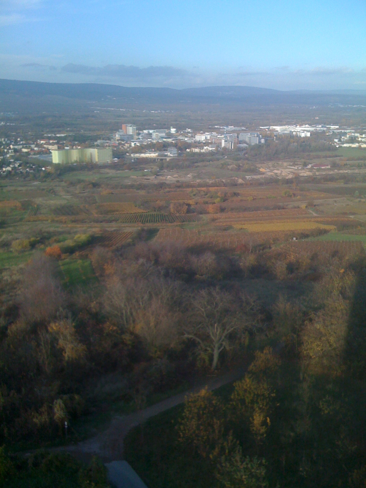 [IMG_0127.JPG]