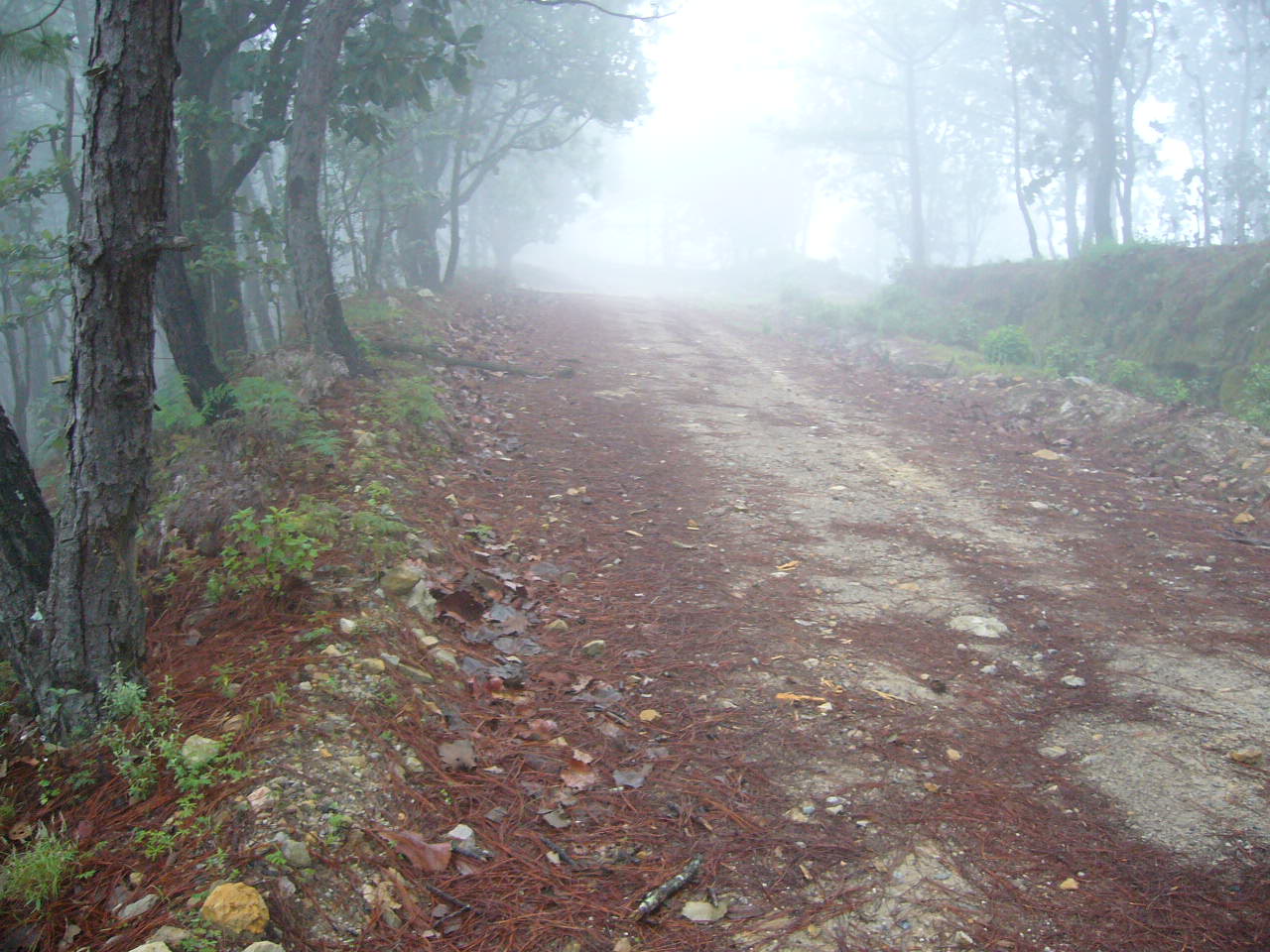 [P1000315.JPG]