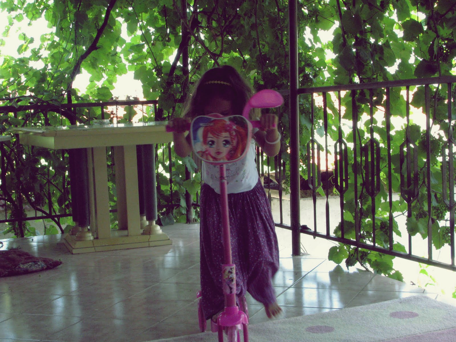 nohut oda bakla sofa Ayşe Sina Köyde&hellip;