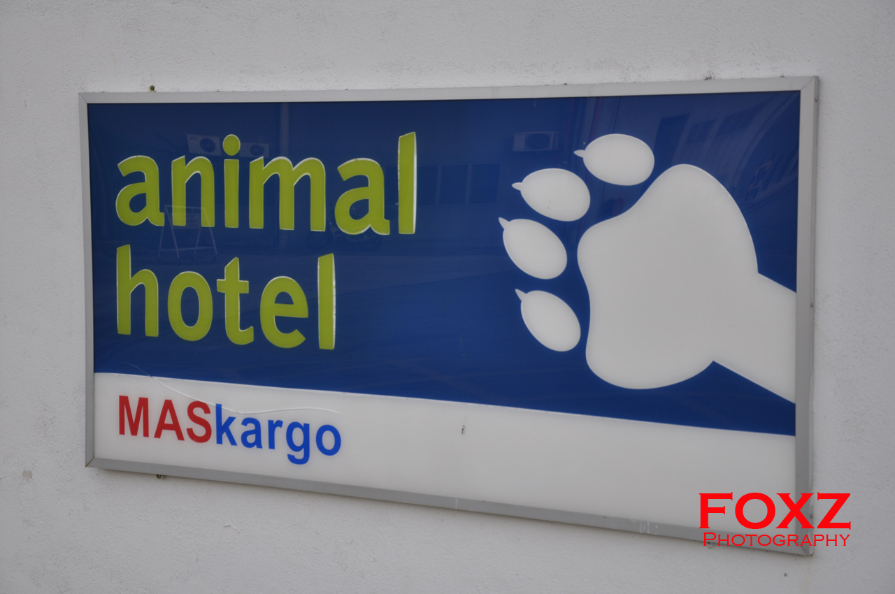 [Animal+Hotel.jpg]