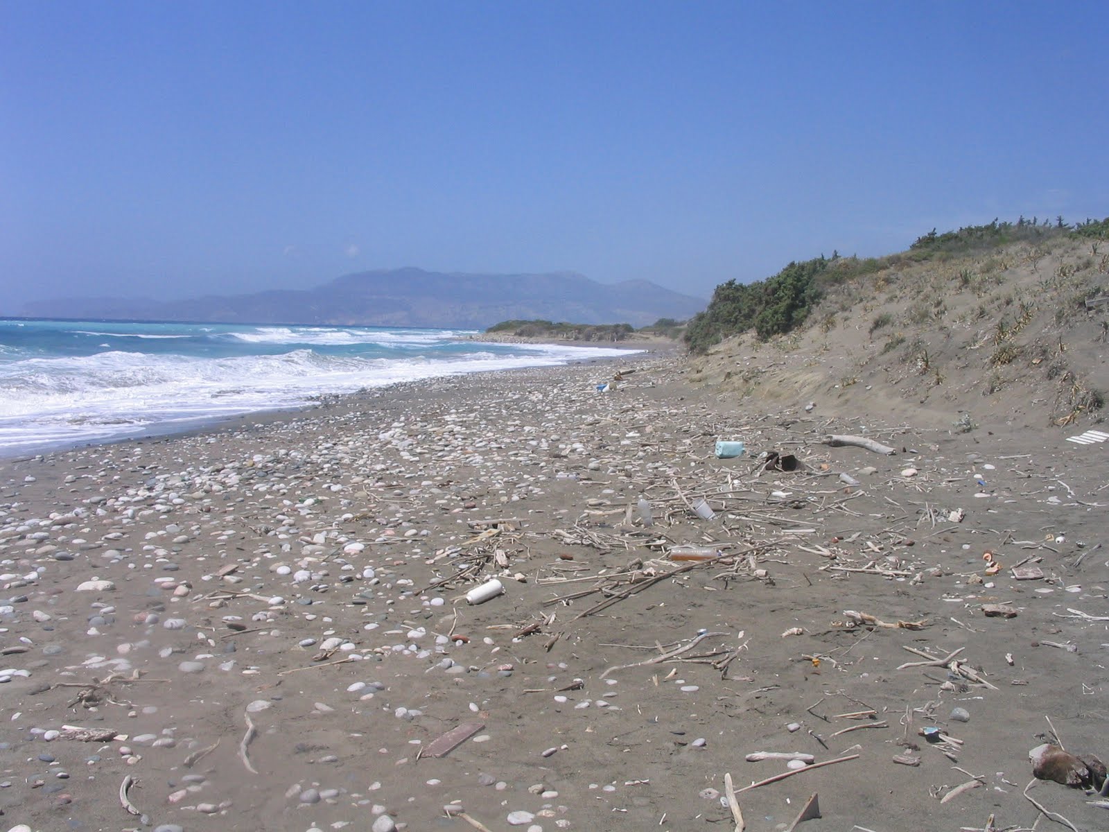 [IMG_0436.JPG]