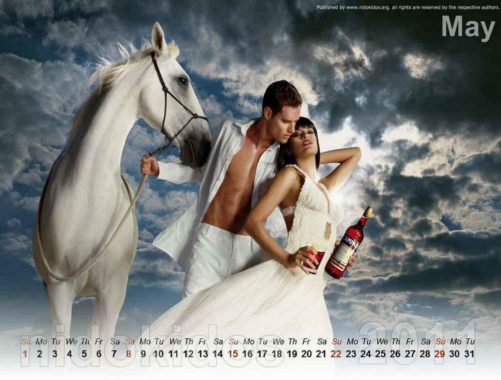 Eva Mendes Unofficial Calendar 2011 pic
