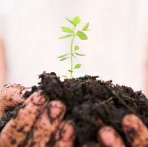 Organic Farming And I