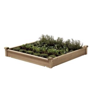 Frugal Dr. Mom: July 2010