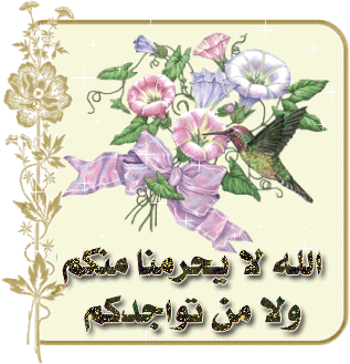 المتواجدون الآن ؟
