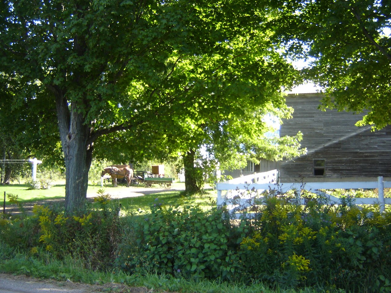 van buren point girls 3 sept 2018 - louez auprès d'habitants à van buren point, new york à partir de $26 cad par nuit trouvez des hébergements uniques auprès d'hôtes locaux dans 191 pays. van buren point girls 3 sept 2018 - louez auprès d'habitants à van buren point, new york à partir de $26 cad par nuit trouvez des hébergements uniques auprès d'hôtes locaux dans 191 pays.