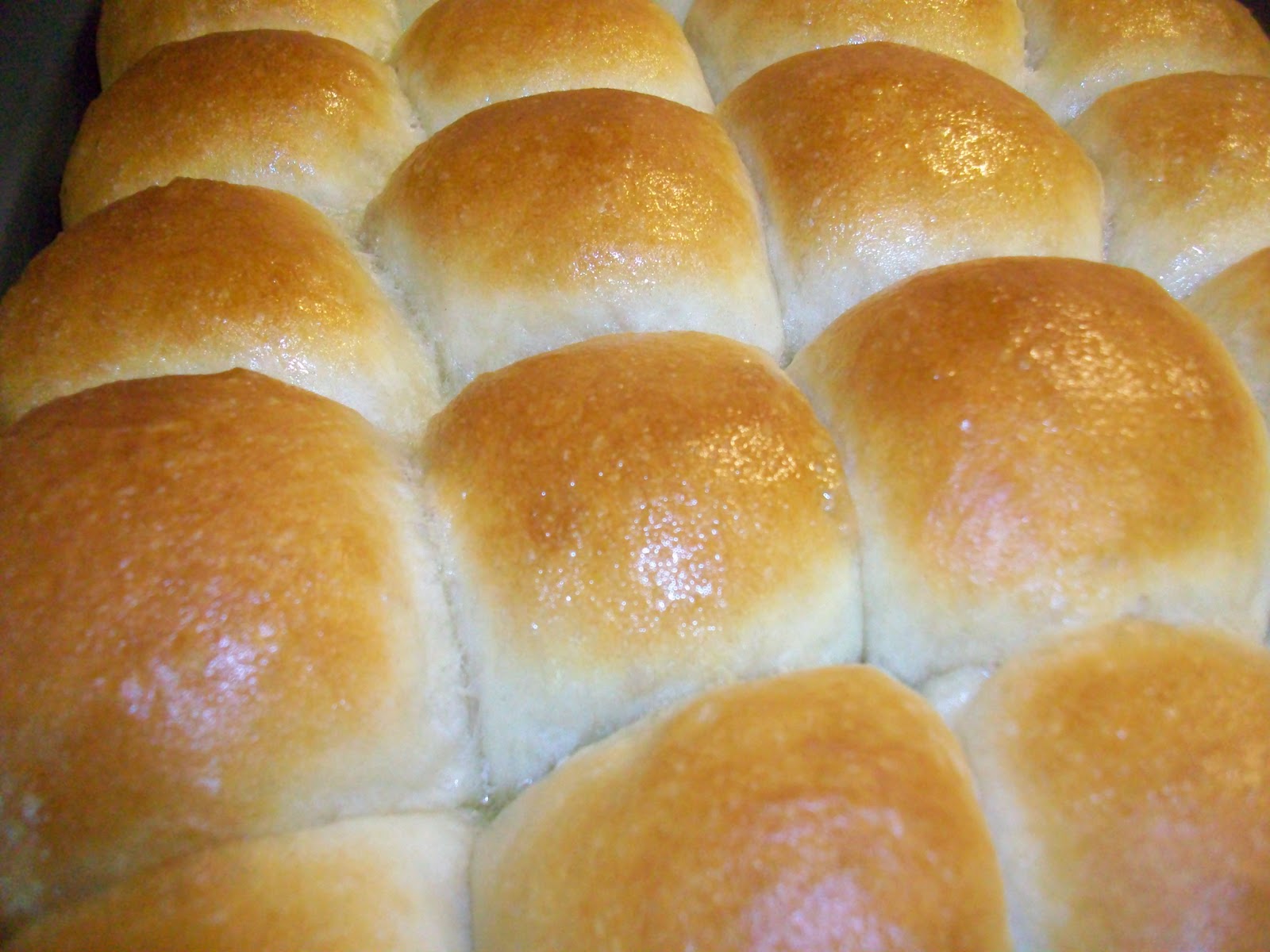 At Home With Haley Perfect Dinner Rolls