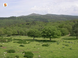 Monte Pisanu