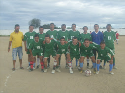 Palmeiras 1ª divisão
