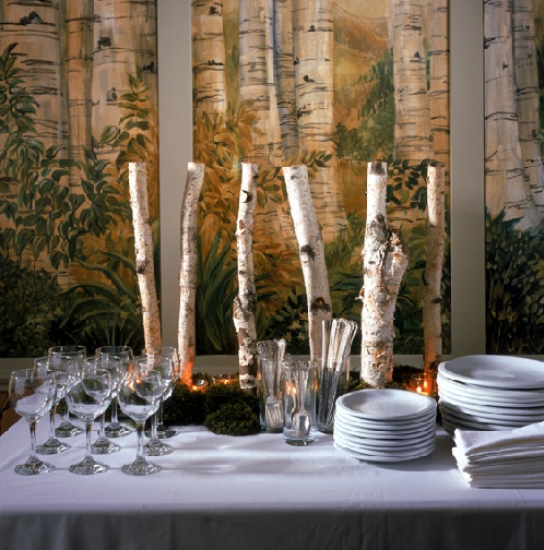 Natural Birch Branches