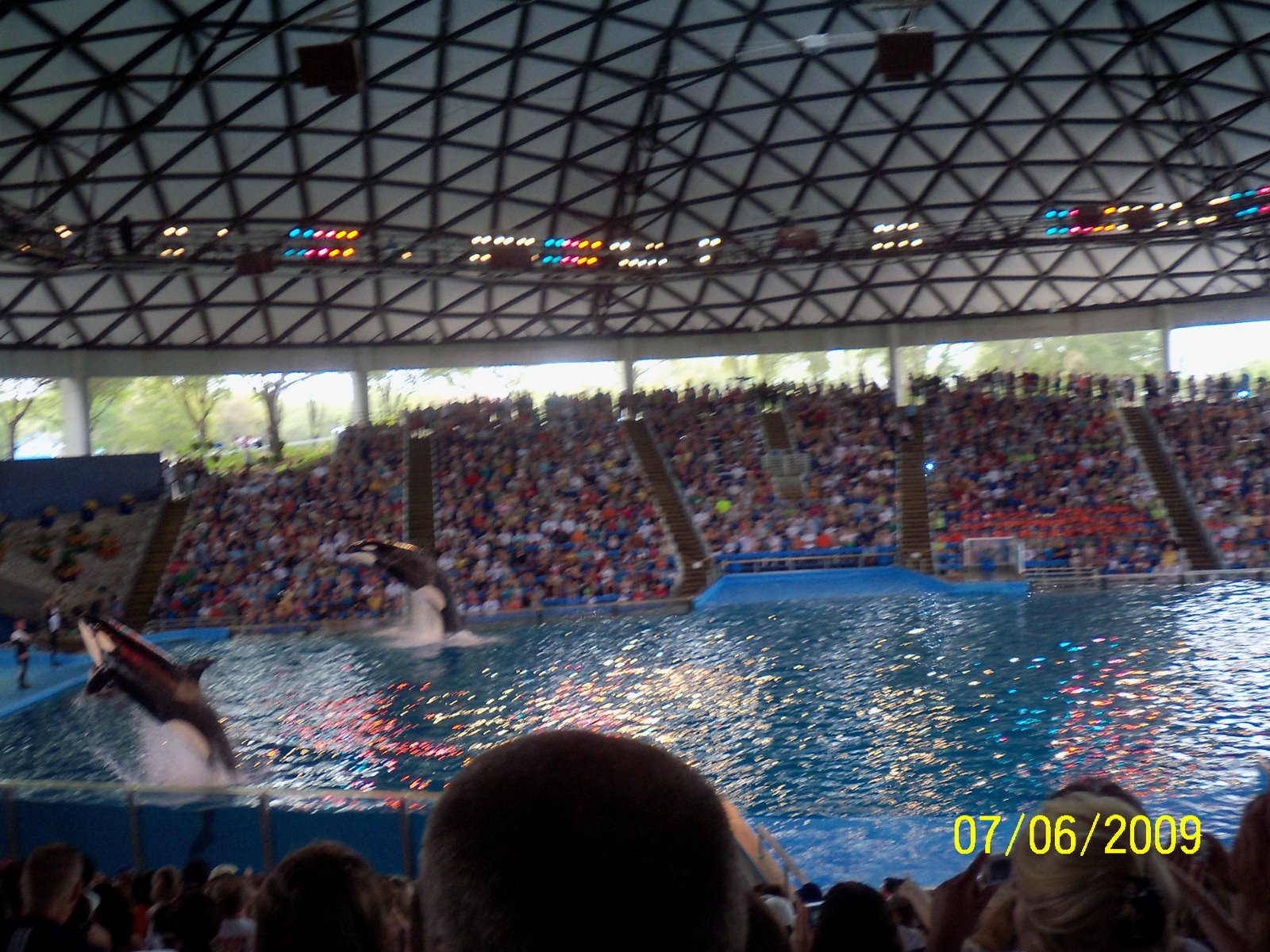 [Seaworld+2009+154.JPG]