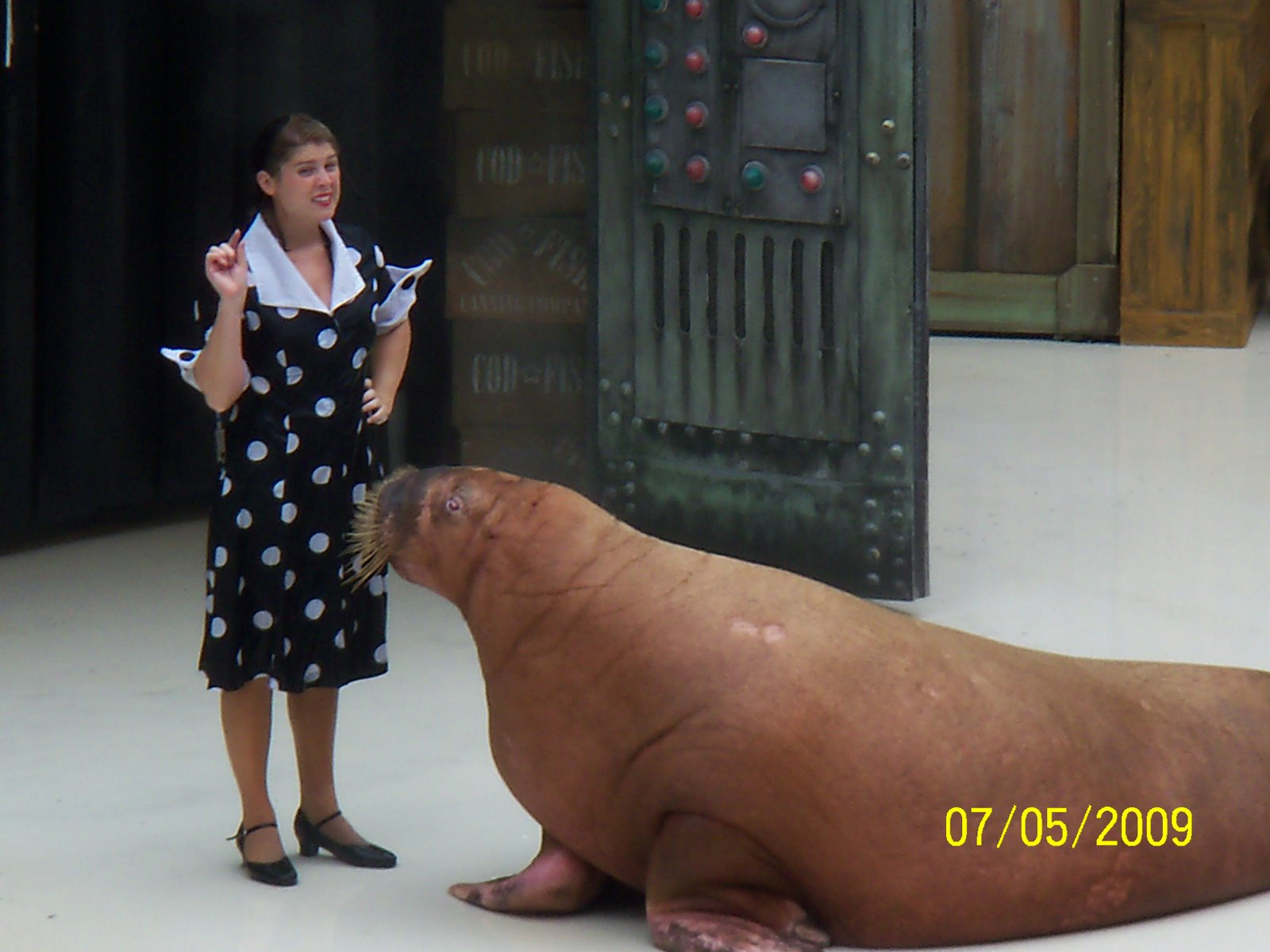 [Seaworld+2009+133.JPG]