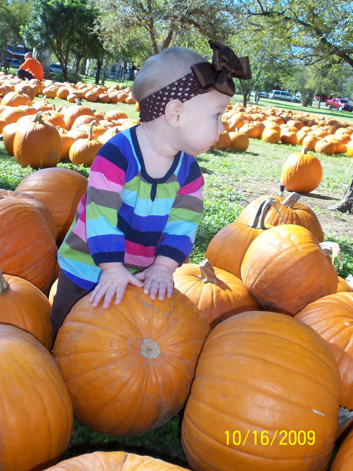 [Pumpkin+Patch+09+010.JPG]