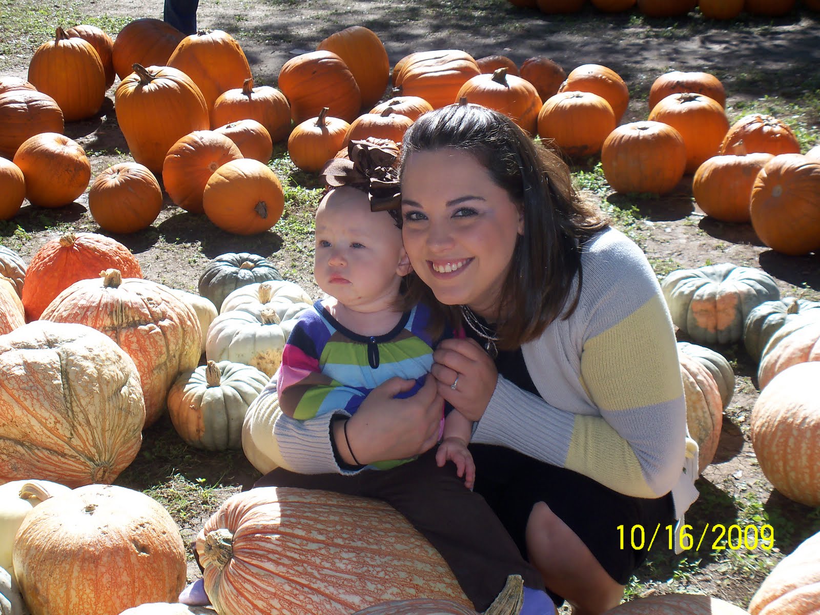 [Pumpkin+Patch+09+032.JPG]