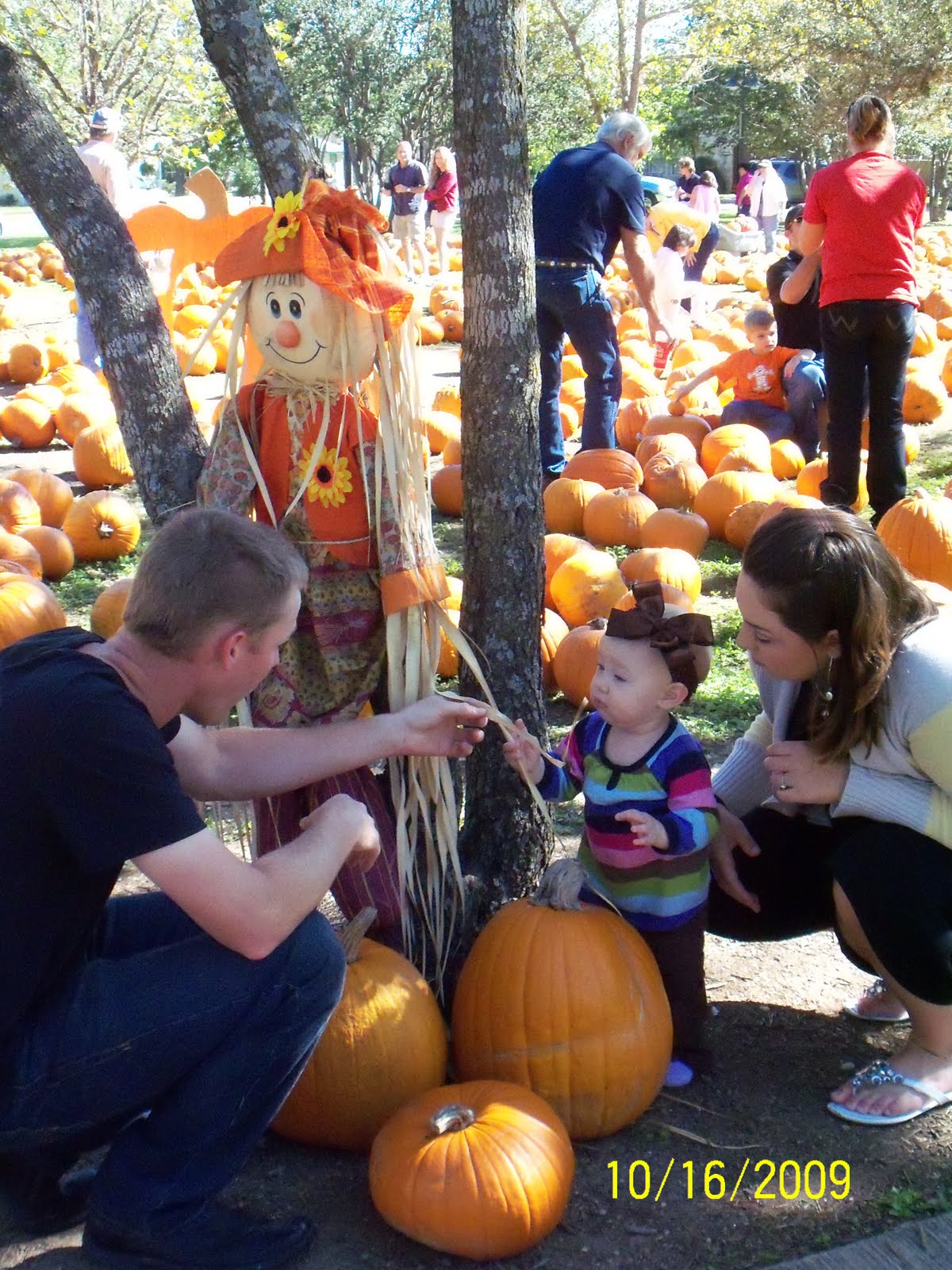 [Pumpkin+Patch+09+063.JPG]