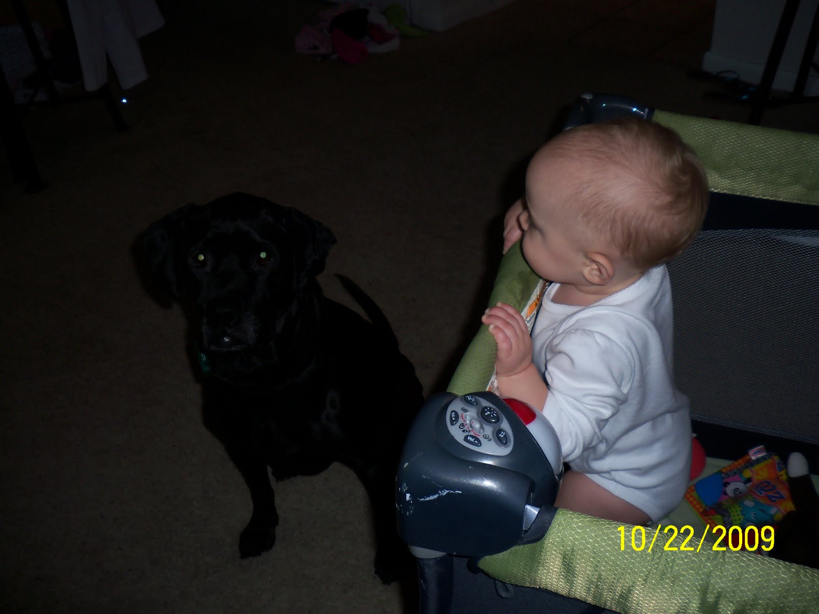 [nine+months+055.JPG]