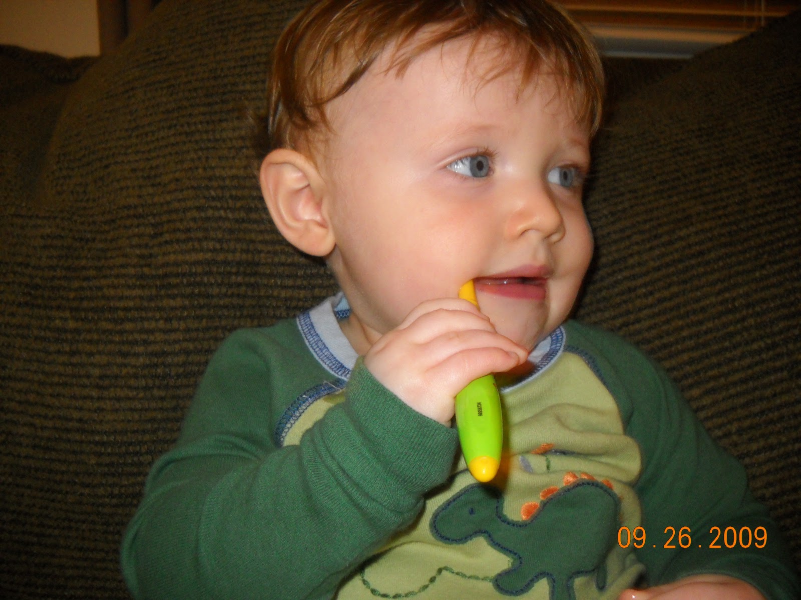 Chad, Mandy and Chase W. Wiggles........The answer to the teeth