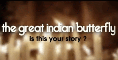 The Great Indian Butterfly 2010 film