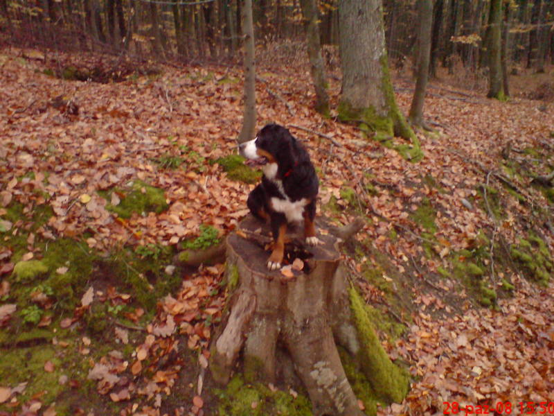 [image-upload-349-767206.jpg]