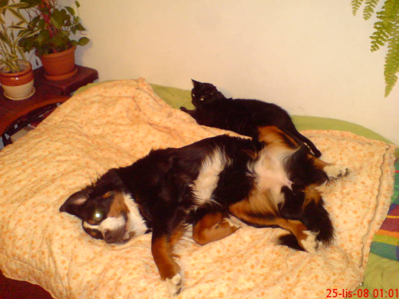 [image-upload-6-780938.jpg]