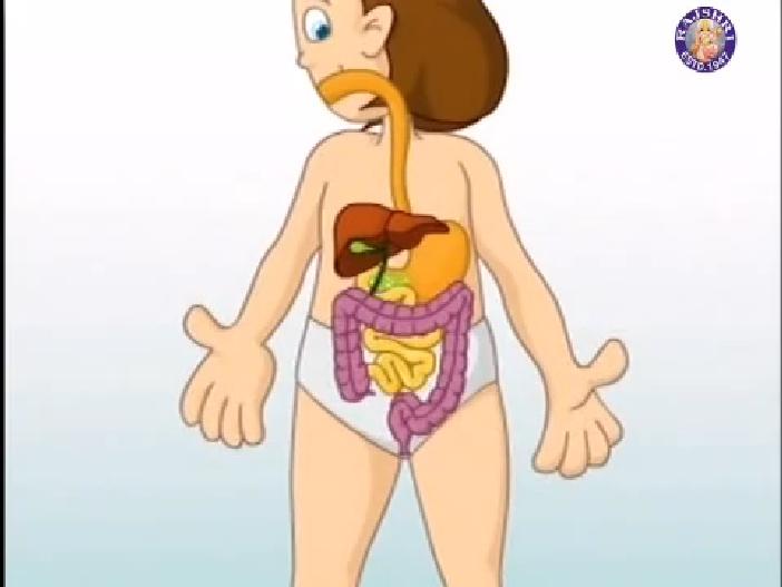 circulatory system images for kids. circulatory system diagram for circulatory system diagram kids. circulatory system images for kids. circulatory system diagram for