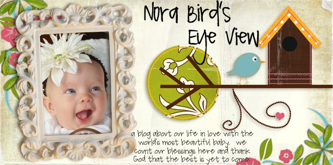 nora bird's eye view