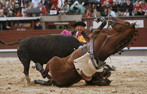 El mejor anabolico para caballos