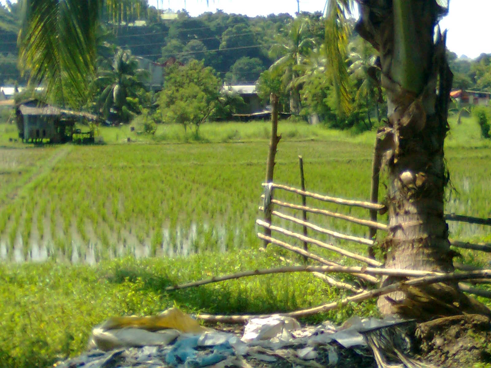 Cagayan de Oro Homes Cagayan de Oro House For Sale Lot for Sale!