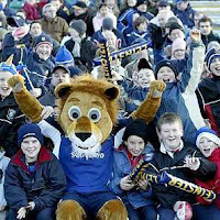 Team Leinster – what do you think?