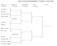 Leinster School's Cup draws
