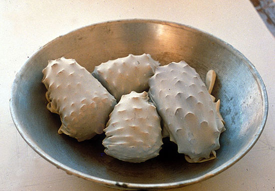 http://4.bp.blogspot.com/__wgTdCCrfeY/TK6RxuidATI/AAAAAAAAGeM/ke-_CXgaVdE/s1600/objects_pict0.jpg