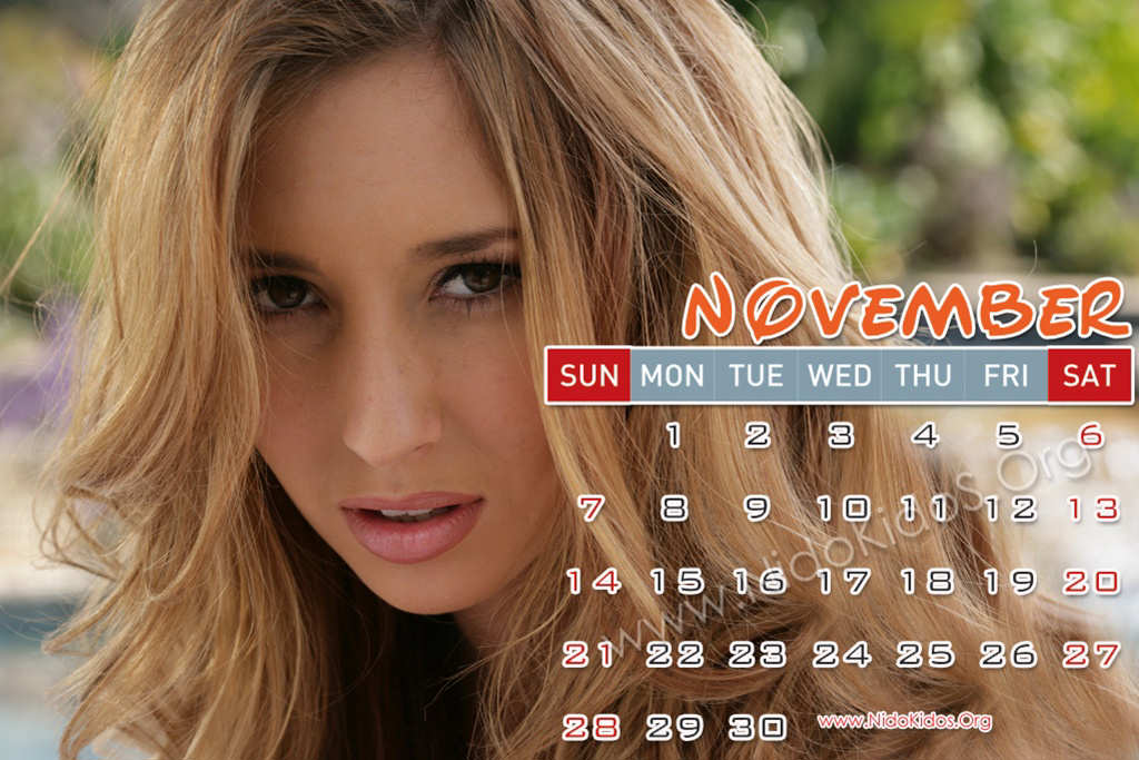 Tech in fun Shay Lauren Calendar 2010