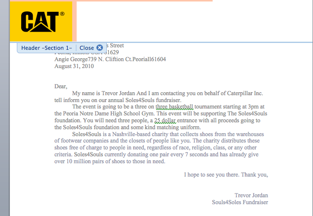 Company report writing example of cover letter for customer service ...