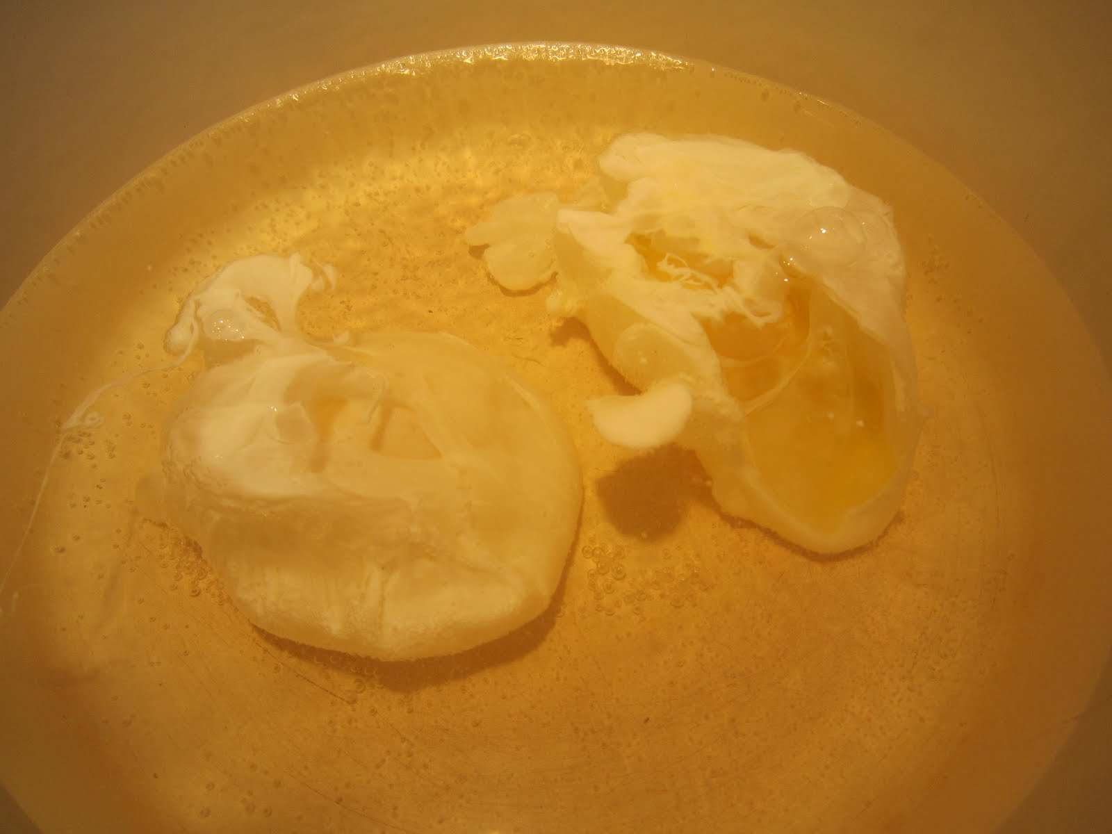 Annelle's Table Asparagus Benedict Risotto Cakes