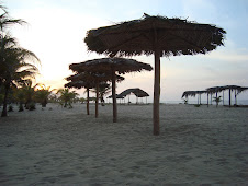 Sombrillas de Palma en la playa