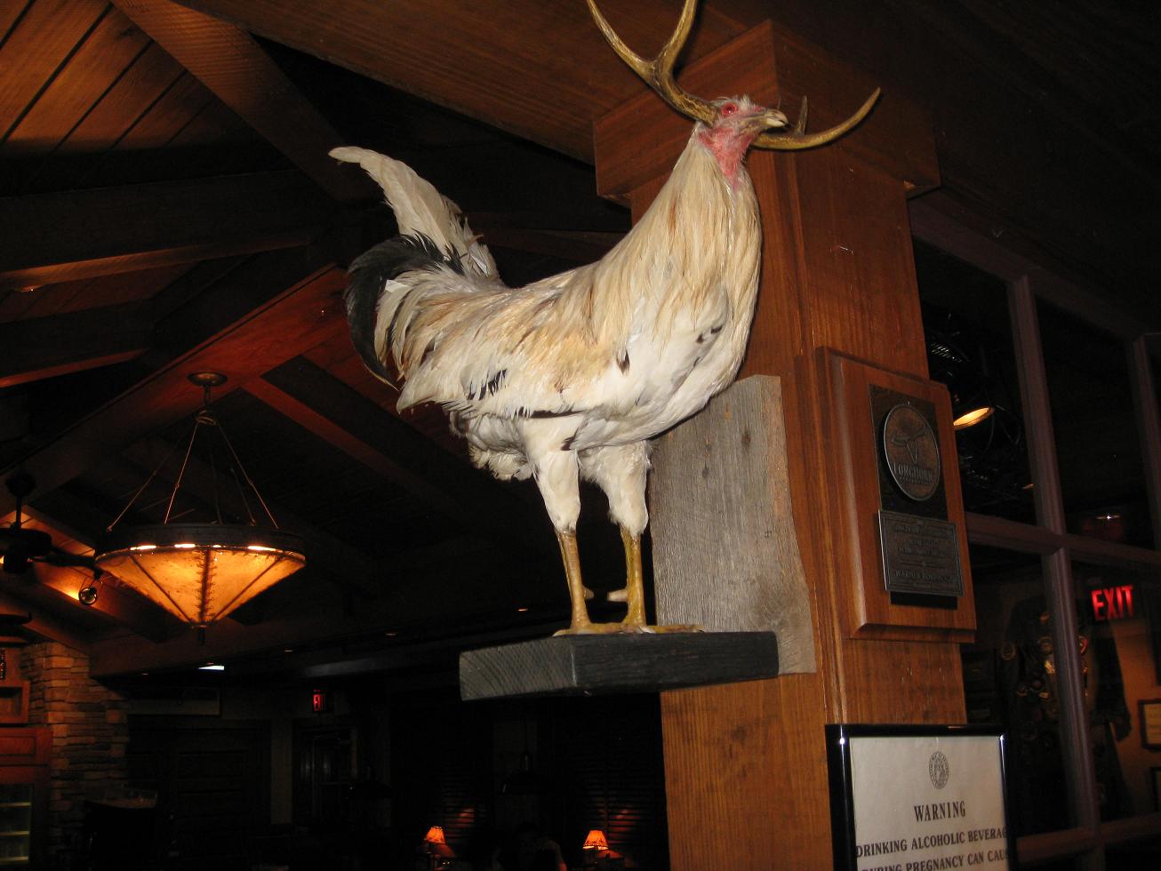 affable-sinister-hen